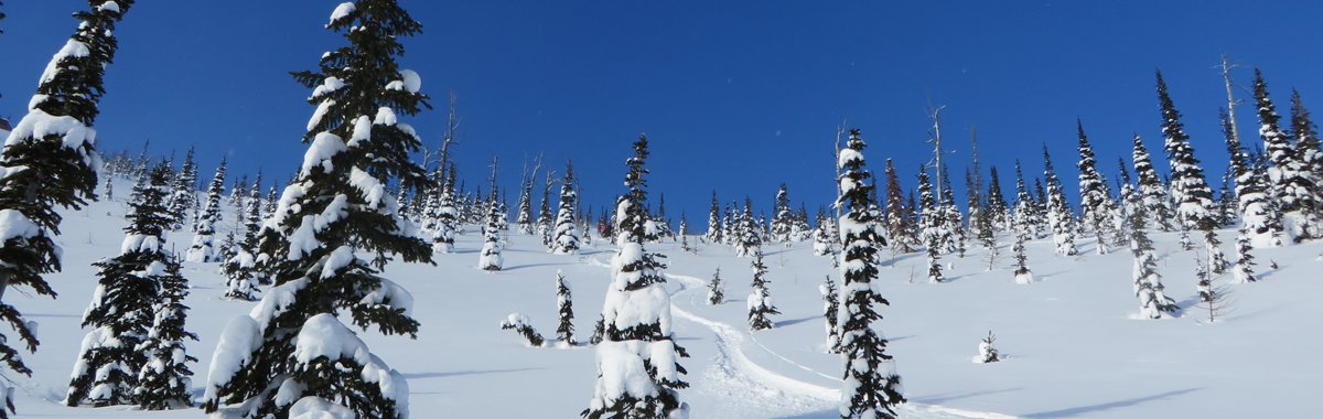 Castle Mountain Resort