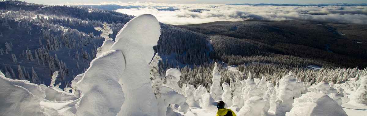 Bus Theme Ideas for Your Ski Trip